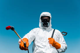 Best Bed Bug Extermination  in Lipatria, CA